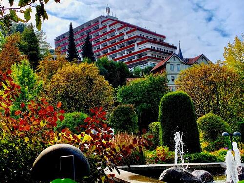 Foto - 1 Zimmer Etagenwohnung zur Miete in Bad Grund (Harz)