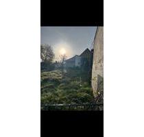 Freizeitgrundstück Garten Erholungsfläche - Rockenhausen