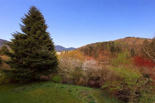 Foto - Helle 3-Zimmer Wohnung im 1.OG - Naturnah & zentral