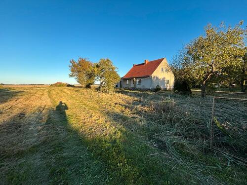 Foto - 4 Zimmer Einfamilienhaus zum Kaufen in Tutow