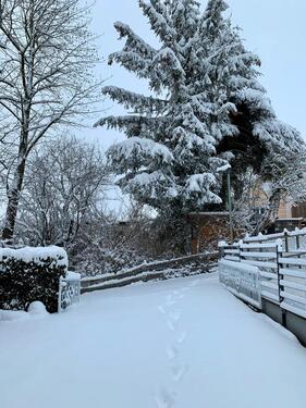 Foto - 4 Zimmer Einfamilienhaus zum Kaufen in Schotten