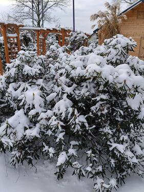 Foto - 2 Zimmer Einfamilienhaus zum Kaufen in Spremberg
