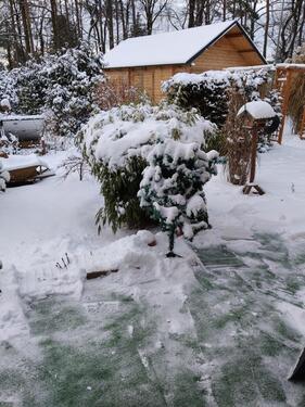Foto - Einfamilienhaus in Spremberg zum Kaufen