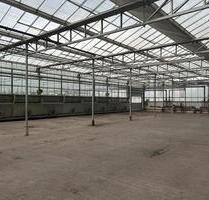 Stellplatz Wohnwagen - 110,00&nbsp;EUR Miete, in Bergheim (PLZ: 50129) Auenheim