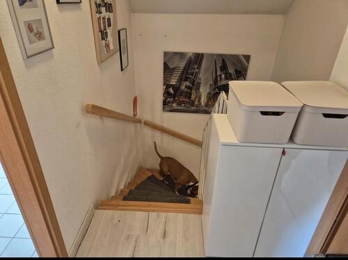 Foto - Maisonettenwohnung in Ditzingen zum Kaufen