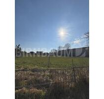 Attraktives, großes Grundstück - Top-Lage Nähe Greifswald Bauprojekte oder andere Nutzungsmöglichkeiten - Lubmin