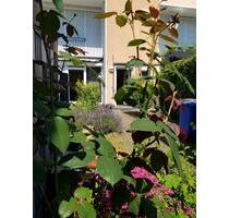 Reihenmittelhaus ohne Provision - Gladbeck Brauck
