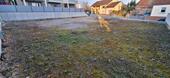 Foto - andere in Insheim