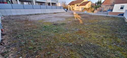 Foto - andere in Insheim