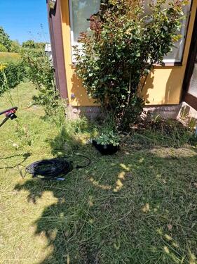 Foto - Grundstück in Bernau bei Berlin