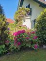 Foto - 4 Zimmer Einfamilienhaus zum Kaufen in Tarnow
