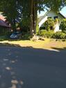 Foto - 4 Zimmer Einfamilienhaus in Tarnow