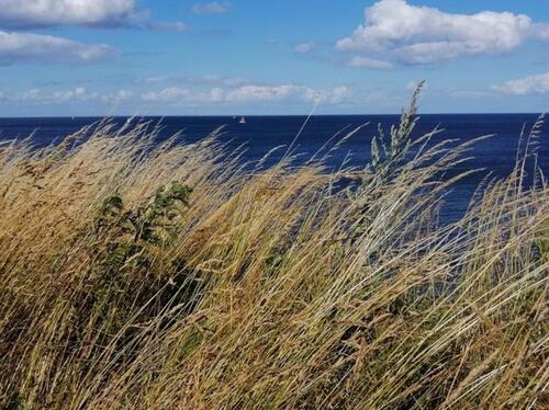 Foto - andere in Dörphof