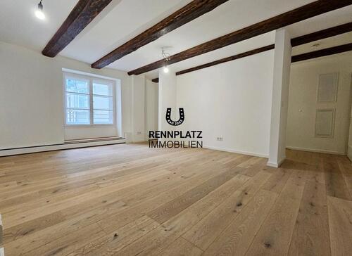 Foto - Traumhaft sanierte 3-Zimmer-Wohnung mit ca. 19 m² Dachterrasse in der Regensburger Altstadt. Frei.