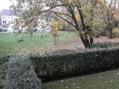 Foto - Renovierte möblierte 1,5 ZKB mit Gartenblick