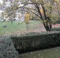 Renovierte möblierte 1,5 ZKB mit Gartenblick - Frankfurt am Main Bockenheim