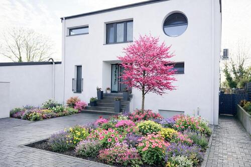 Foto - Exklusive Design-Villa in Feldrandlage Broitzem Pool