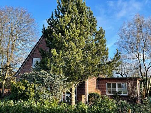 Foto - 4 Zimmer Einfamilienhaus zum Kaufen in Varel