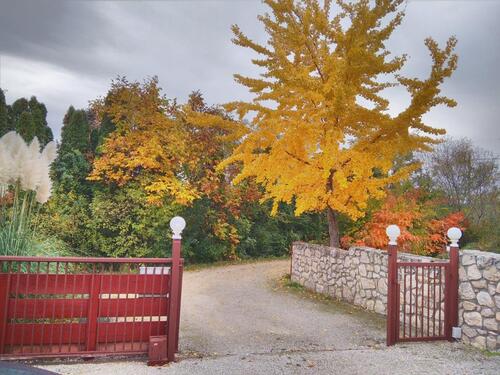 Foto - Einfamilienhaus in Taucha zum Kaufen