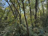Foto - Grundstück in Illingen