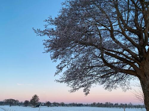 Foto - Haus Grenze Volksdorf KEINE MAKLER