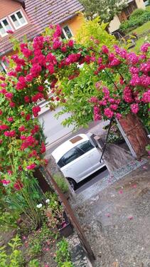 Foto - 2,5-Zimmer-Dachgeschosswohnung in 97753 KarlstadtMühlbach