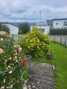 Foto - 7.5 Zimmer Reihenhaus in Leinfelden-Echterdingen