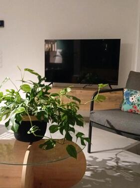 Foto - andere in Dornstetten