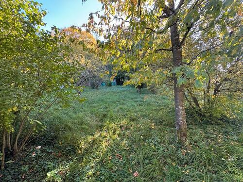 Foto - Grundst&uuml;ck zur Miete in Weinstadt