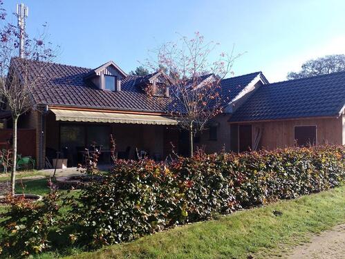 Foto - 4 Zimmer Dachgeschoßwohnung zur Miete in Emsbüren