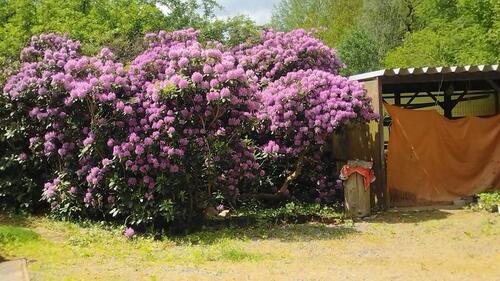 Foto - 8 Zimmer Einfamilienhaus in Großschönau