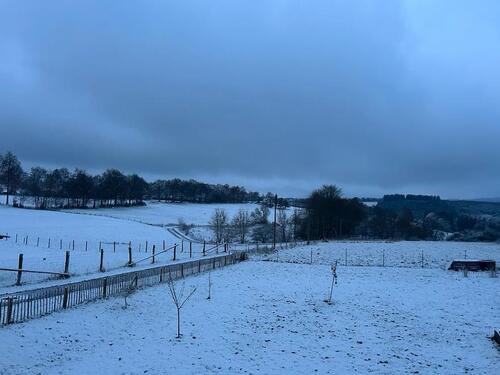 Foto - Schöne Wohnung im Grünen zu vermieten.