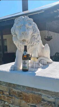 Foto - andere in Lam zur Miete