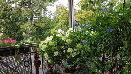 Foto - Eigentumswhg. 2 Zi Balkon Aufzug ohne Makler Glienicker Brücke