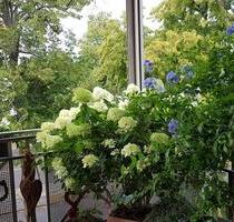 Eigentumswhg. 2 Zi Balkon Aufzug ohne Makler Glienicker Brücke - Potsdam Berliner Vorstadt