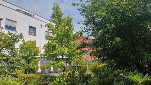 Foto - 2 Zimmer Erdgeschoßwohnung in Osnabrück