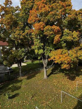 Foto - Etagenwohnung in Neuburg an der Donau zur Miete