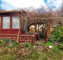 Kleingarten in Krummhermsdorf bei Sebnitz abzugeben - Dresden Leuben