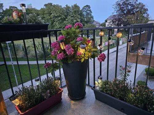 Foto - andere zur Miete in Lübeck