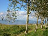 Foto - andere in Gelting