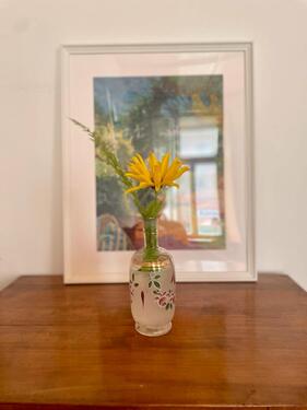 Foto - andere in Freiburg im Breisgau