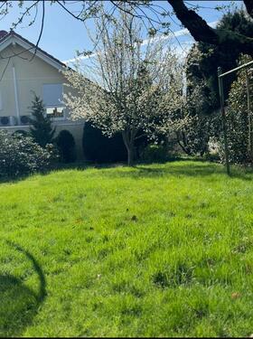Foto - Haus zur Miete 4 Zi. Bergheim stadtzentral mit großem Garten