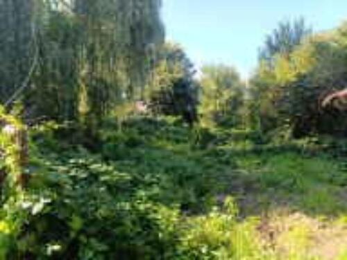 Foto - Stellplatz an Naturliebhaber*innen zu vermieten