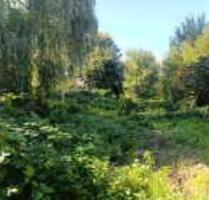 Stellplatz an Naturliebhaber*innen zu vermieten - Prenzlau