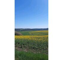 Bauernhaus - 389.000,00 EUR Kaufpreis, in Stadtroda (PLZ: 07646)