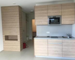 Queich-Promenade - neuwertiges City-Appartement - Landau in der Pfalz