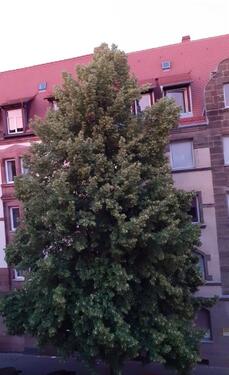 Foto - Top Wohnung in Top Lage - 315.000,00 EUR Kaufpreis, ca.  62,00 m²