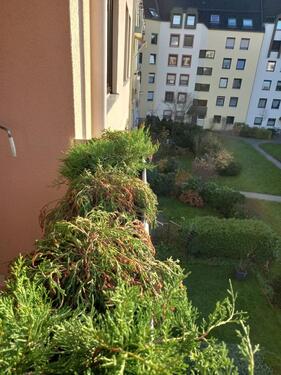 Foto - 2 Zimmer Etagenwohnung in Nürnberg