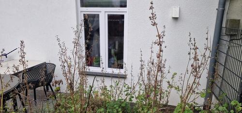 Foto - PRIVATVERMIETER Büro im EG und Stellplatz direkt vor der Tür