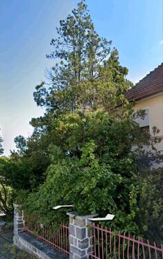 Foto - 9 Zimmer Doppelhaushälfte in Hemer